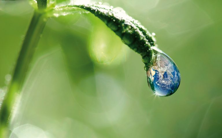 “Monaco, zéro déchet” : oui mais comment ?