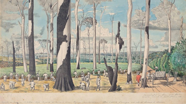 Evasions culturelles