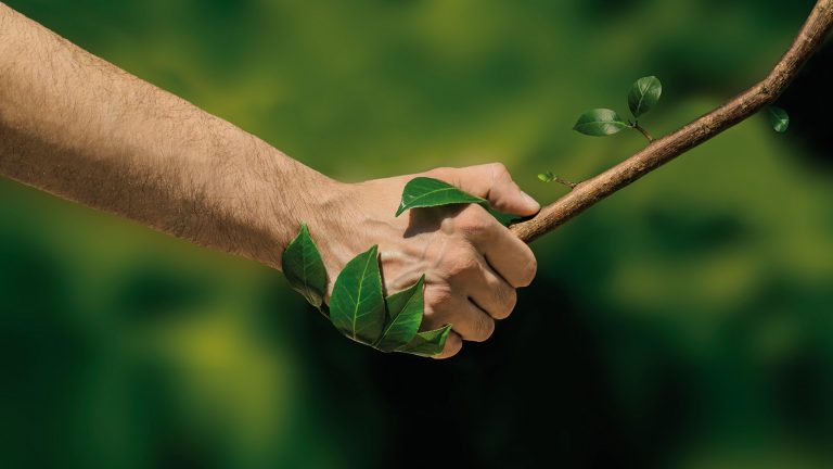 Ces entreprises monégasques qui signent pour le renouvelable