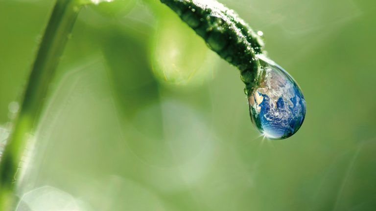 Monegasque companies endorsing renewable energy