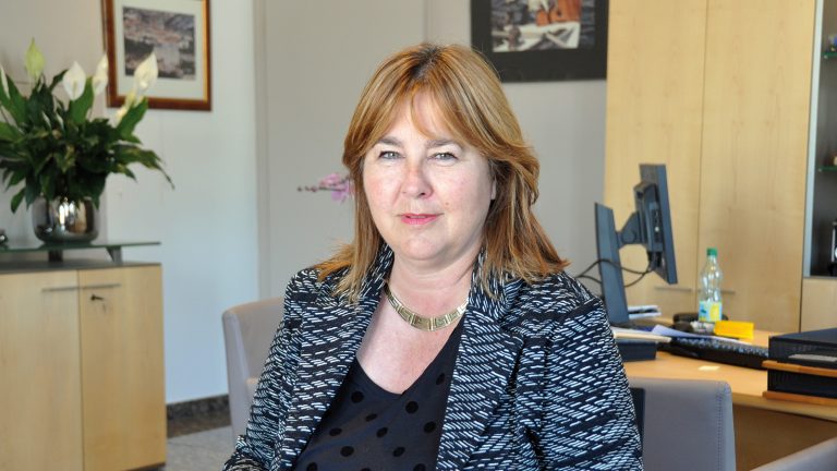 « Un cadastre solairedès cet été »