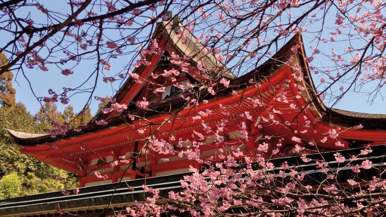 Sur la voie du zen au Japon