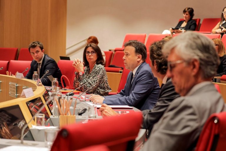 Recours de la FEDEM devant le Tribunal suprême « La défense d’une idéologie »