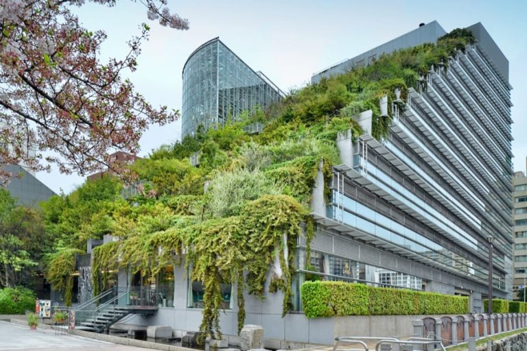 De la végétation à Monaco pour lutter contre les « îlots de chaleur urbain »