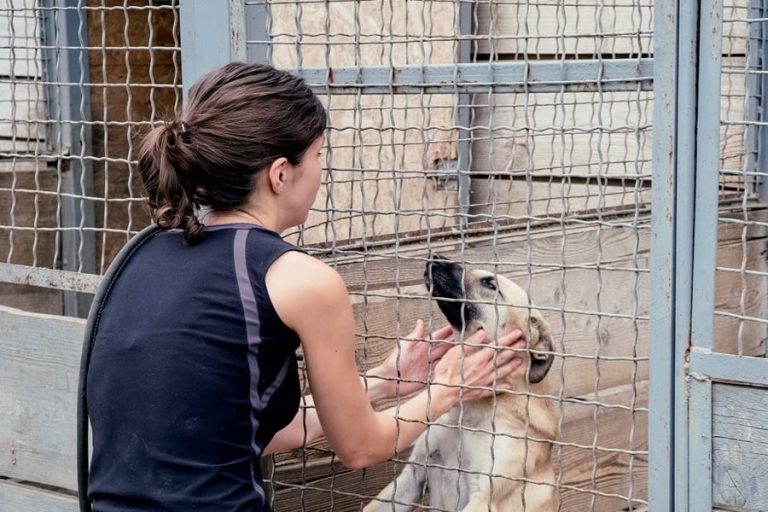 La Spa de Monaco ouvrira en fin d’année 2023 à Peille