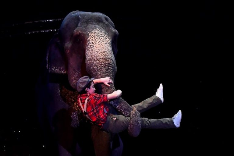 Festival International du cirque Monte-Carlo