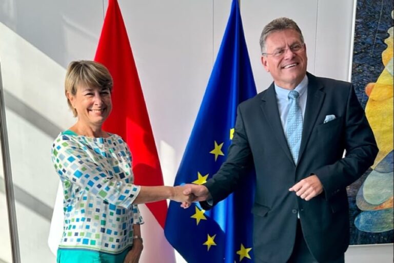 Union européenne Isabelle Berro-Amadeï