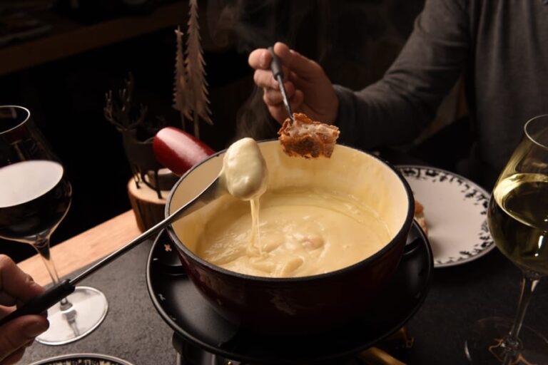 Fondue Raclette Tradiswiss Novotel