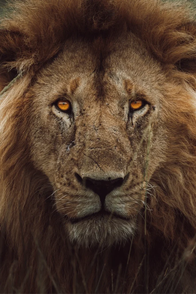 Liam Fabre Photographe Vidéaste