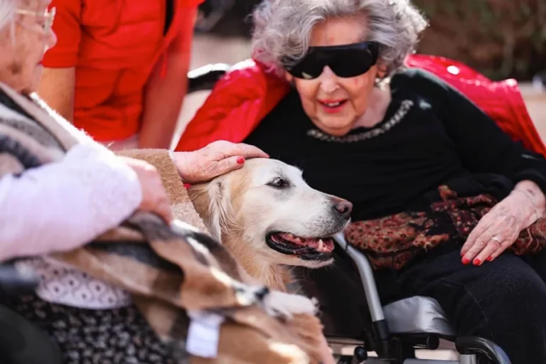 Photo Chiens de cœur Ehpad Animaux Chien thérapeute association Monaco Principauté Ainés