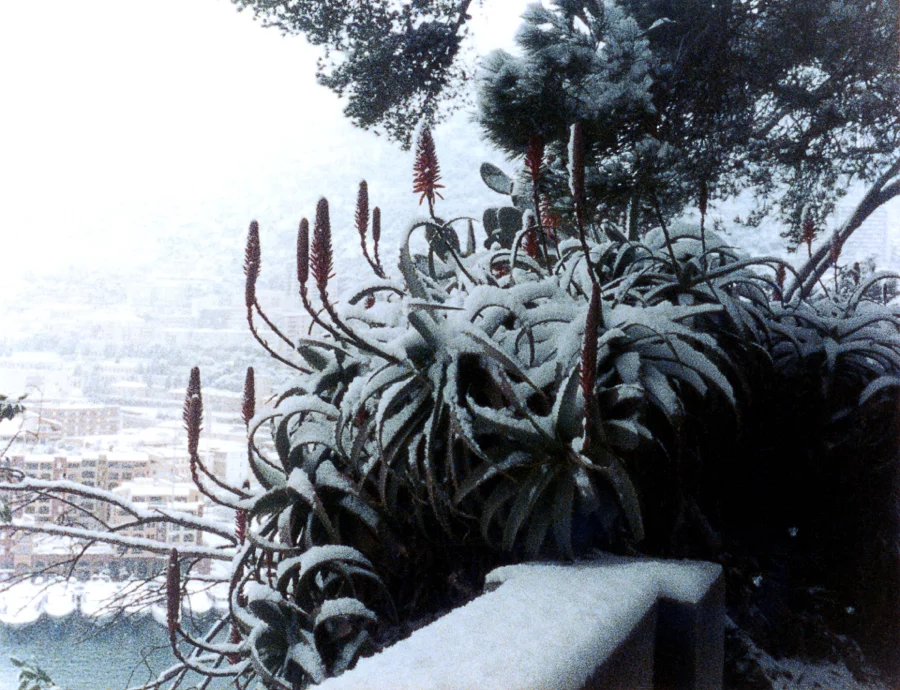 Monaco sous la neige