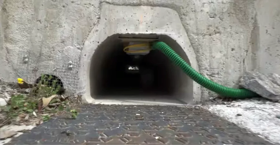 Tunnels animaux sauvage